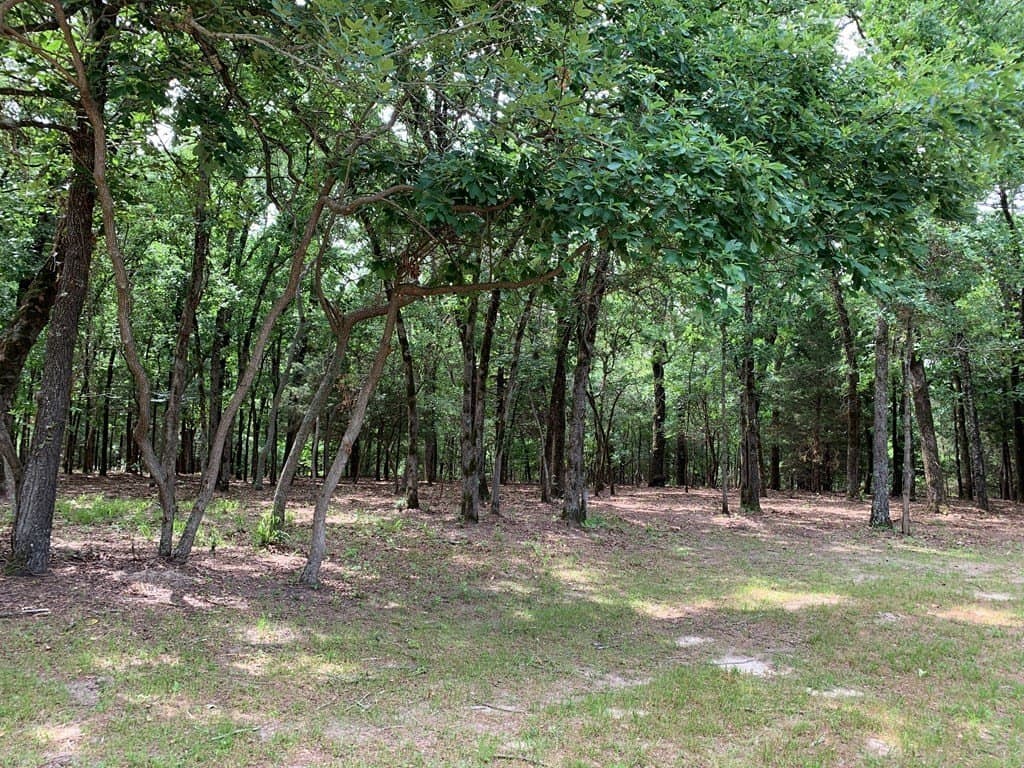 6.66 acres in Henderson County - photo 8