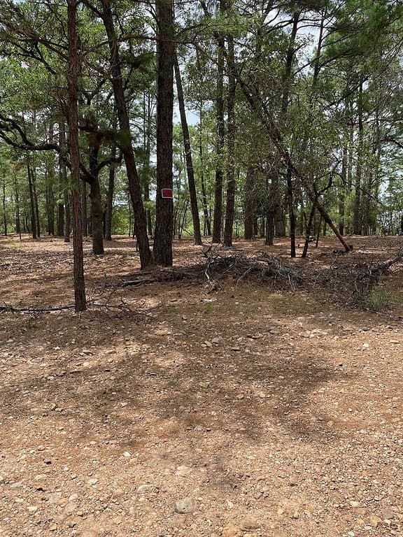 1.51 acres in Fayette County - photo 7