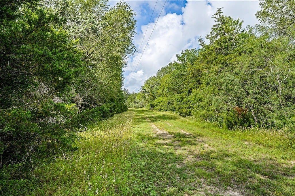 135.94 acres in Fayette County - photo 25