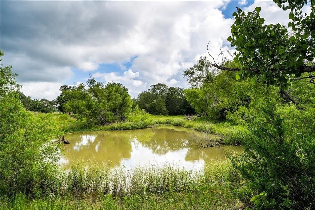 135.94 acres in Fayette County featured view