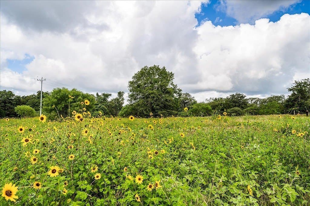 135.94 acres in Fayette County gallery image 2
