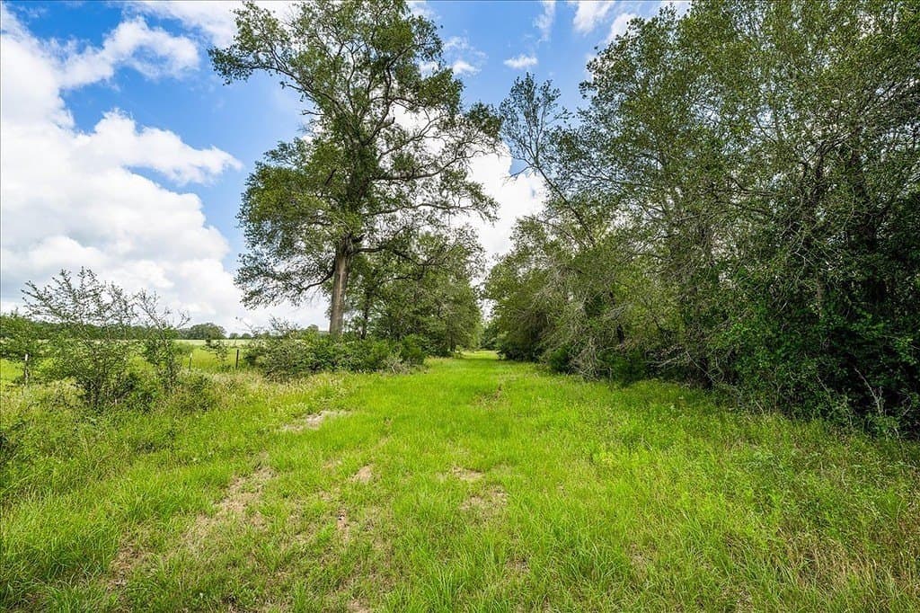 135.94 acres in Fayette County - photo 24