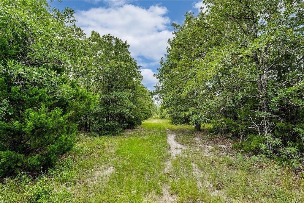 135.94 acres in Fayette County - photo 21
