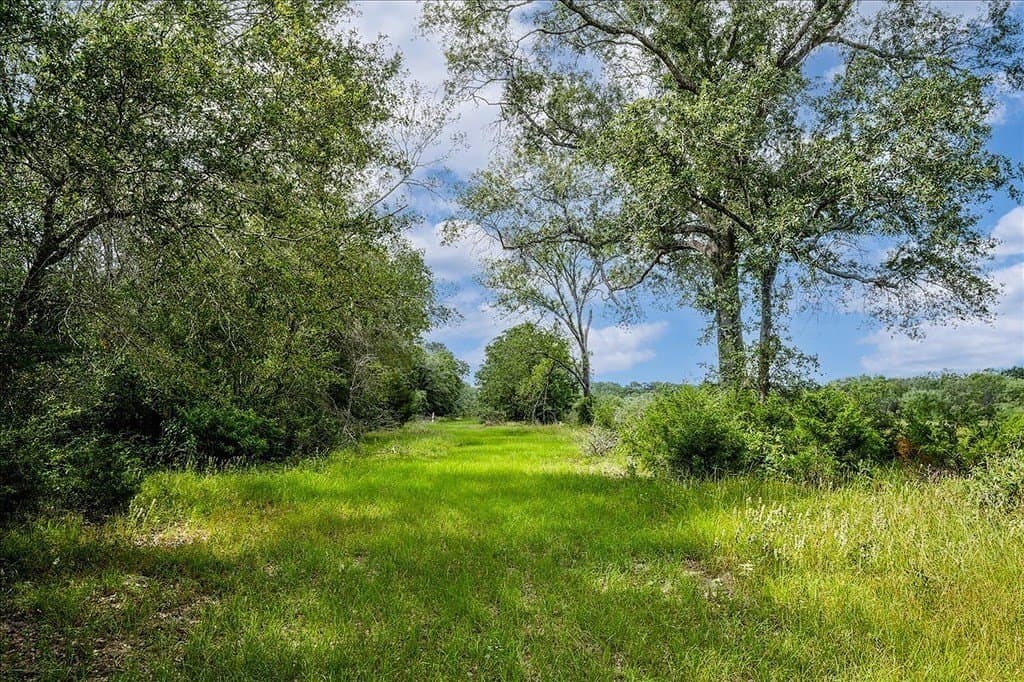 135.94 acres in Fayette County - photo 23
