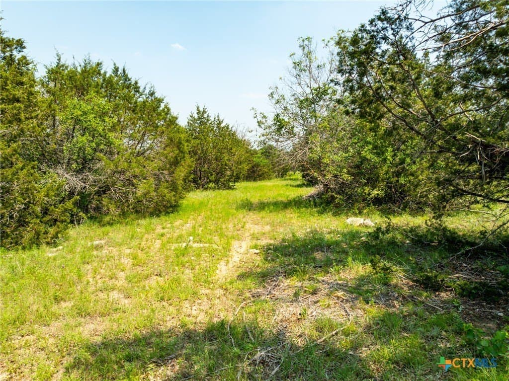 5.02 acres in Coryell County gallery image 4