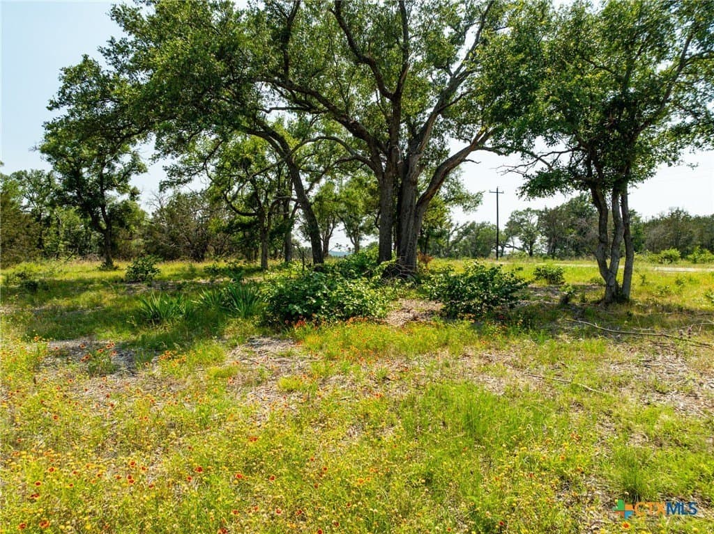 5.02 acres in Coryell County - photo 9