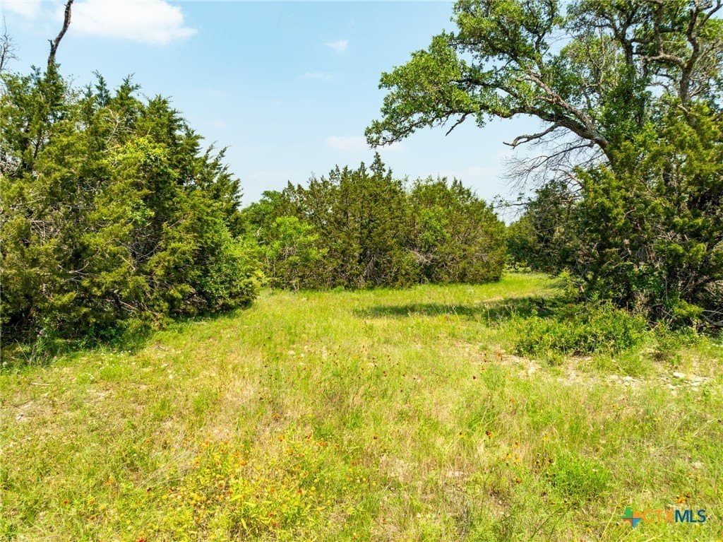 5.02 acres in Coryell County gallery image 3