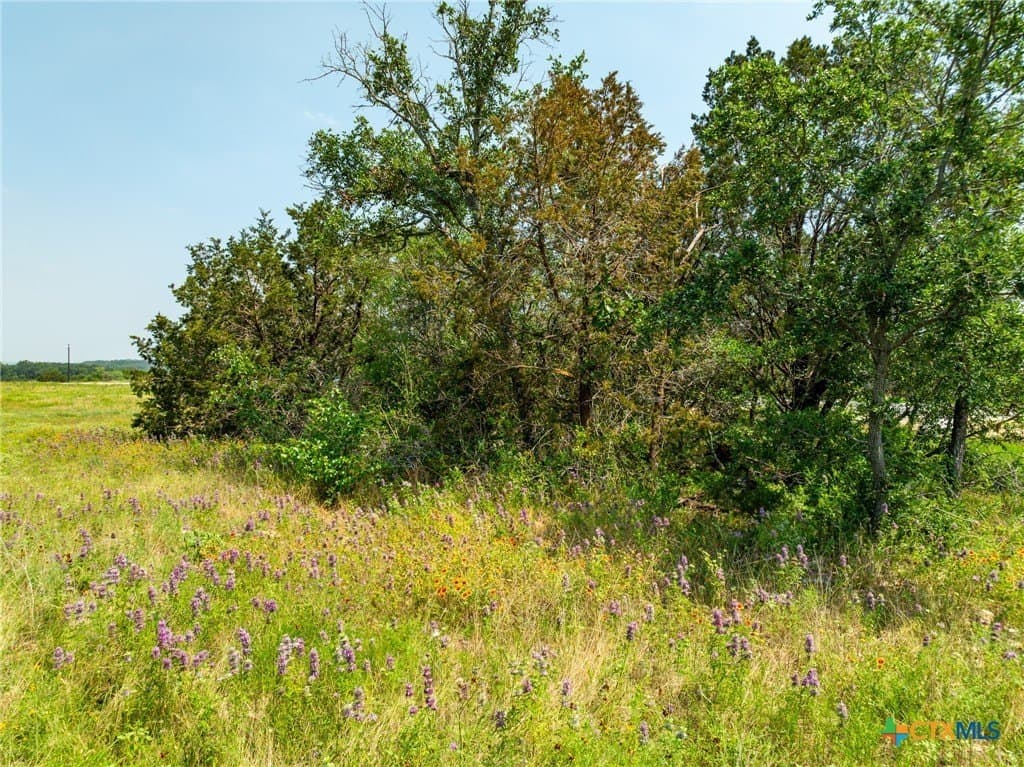 5.02 acres in Coryell County - photo 15