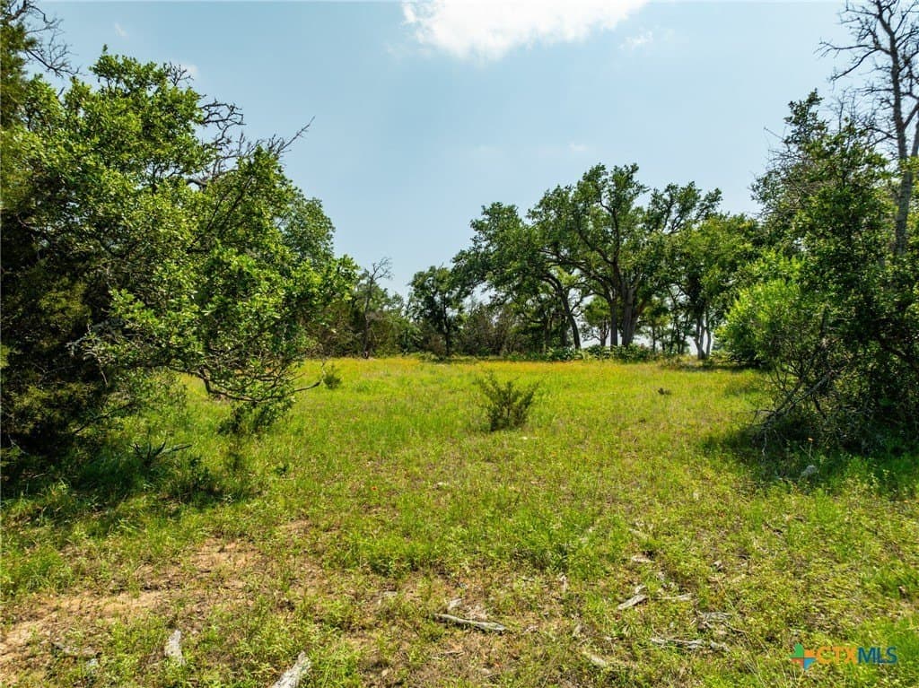 5.02 acres in Coryell County - photo 6