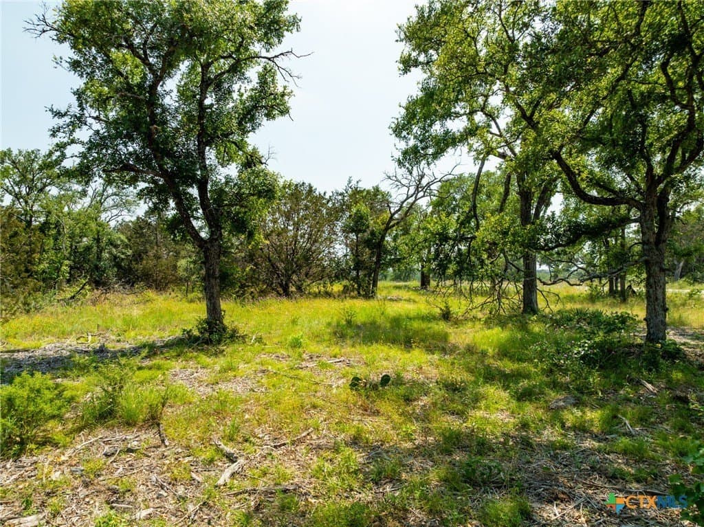 5.02 acres in Coryell County - photo 11