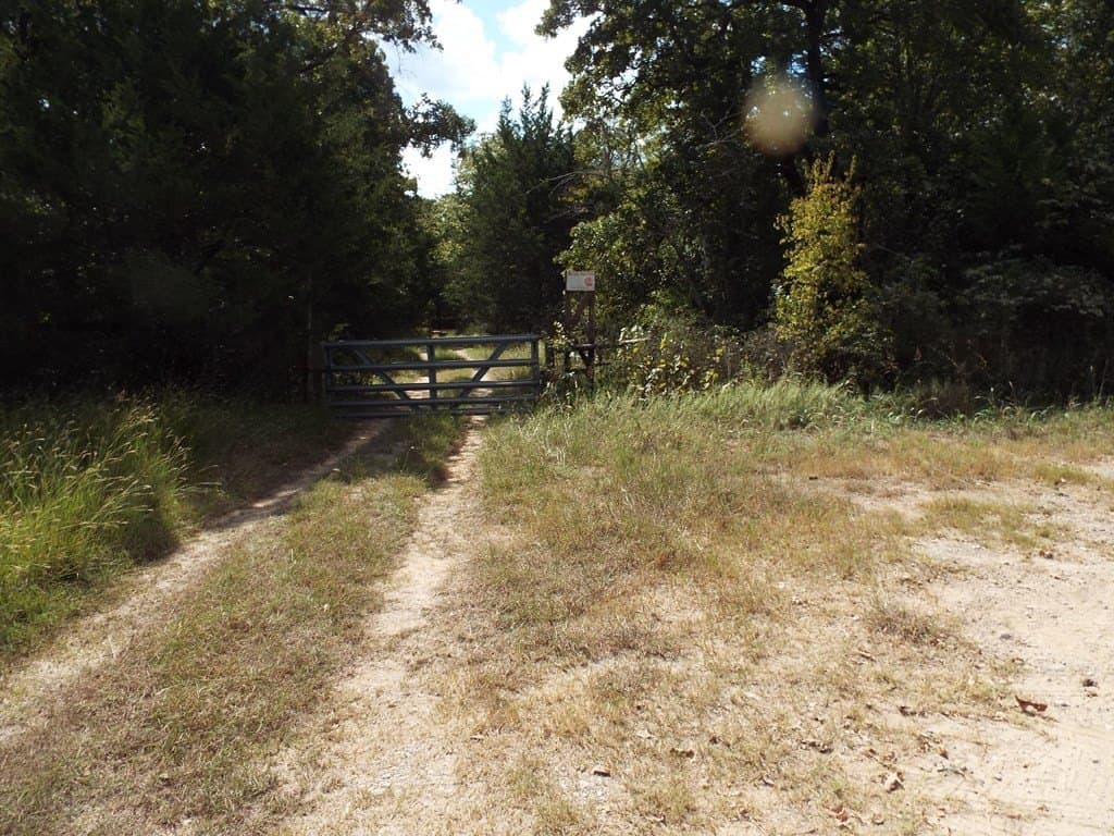 20.25 acres in Henderson County gallery image 3