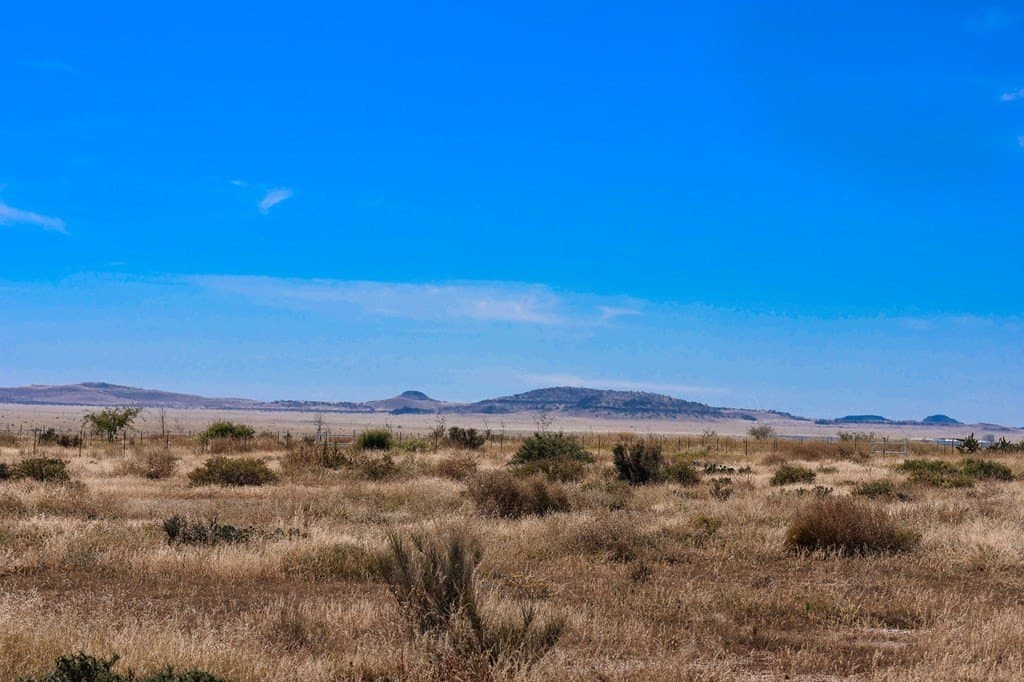 2.33 acres in Jeff Davis County gallery image 4