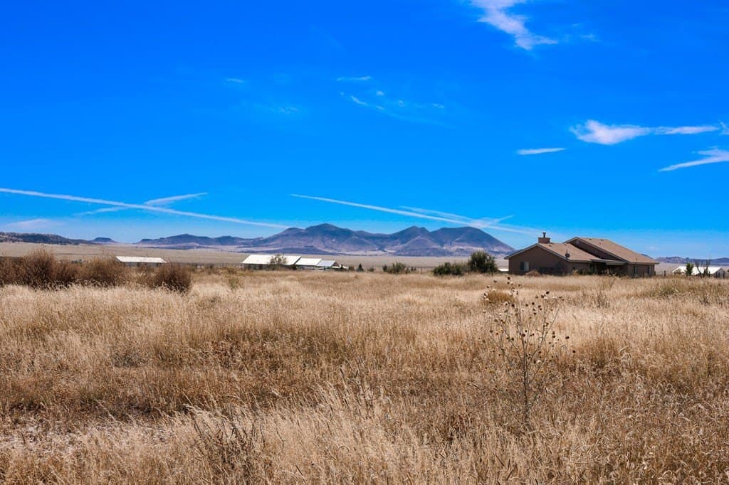 2.33 acres in Jeff Davis County - photo 9