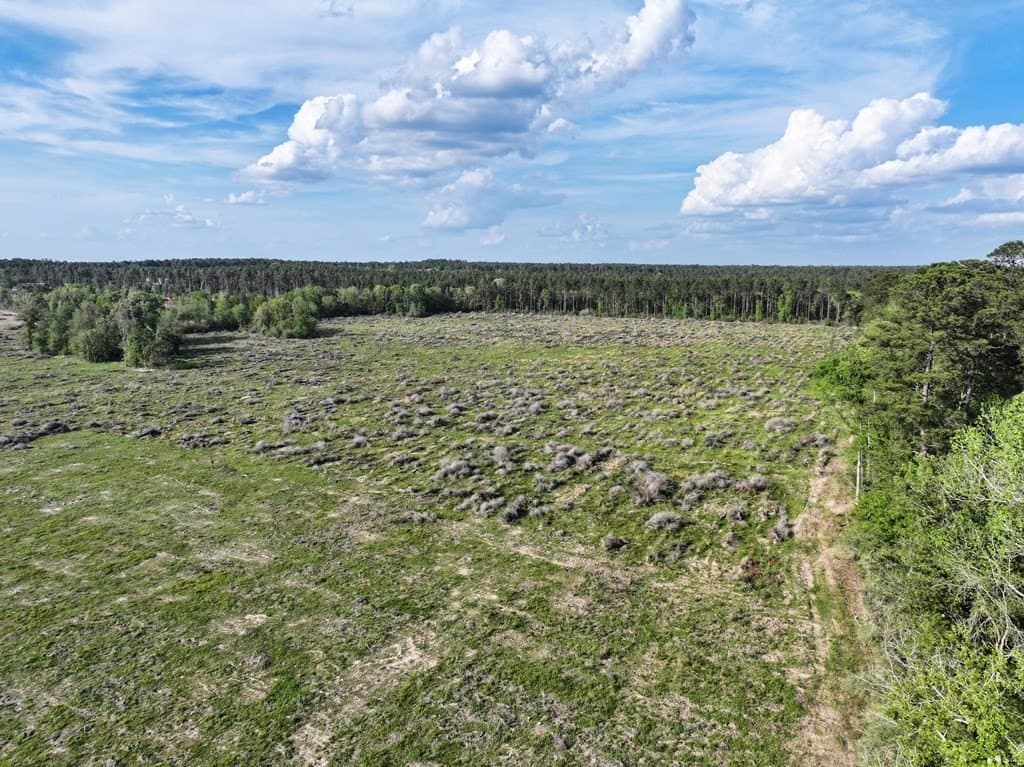 13.5 acres in Texas County - photo 48