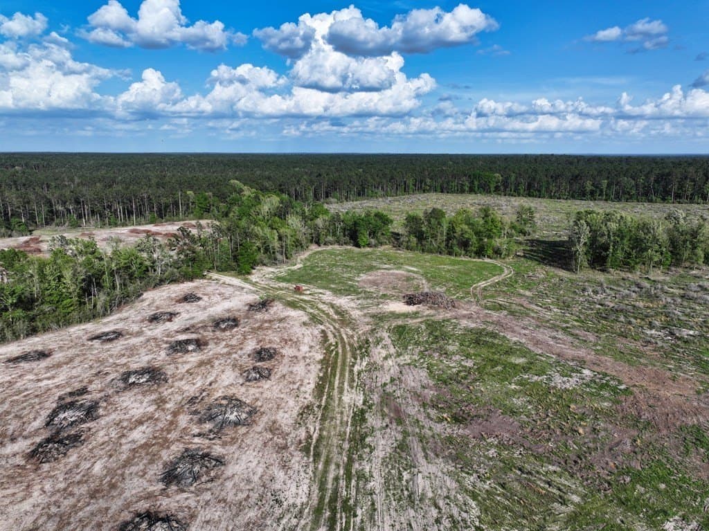 13.5 acres in Texas County - photo 56