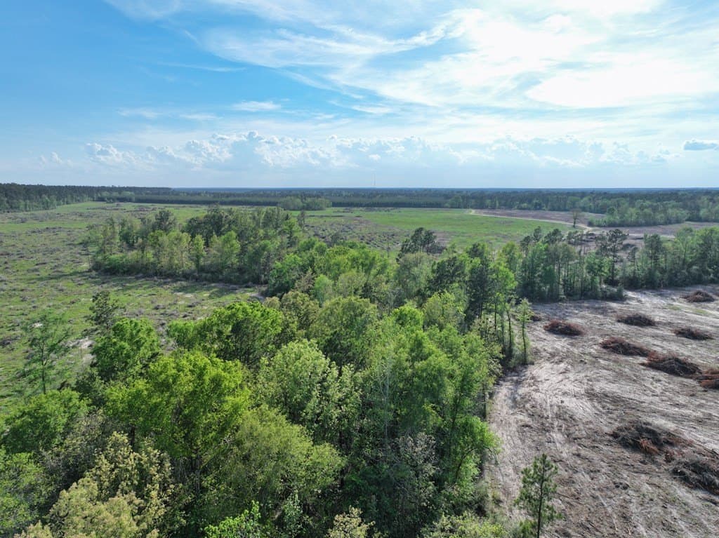 13.5 acres in Texas County - photo 43