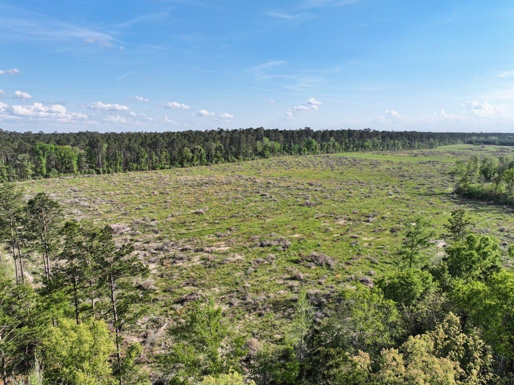 13.5 acres in Texas County - photo 42