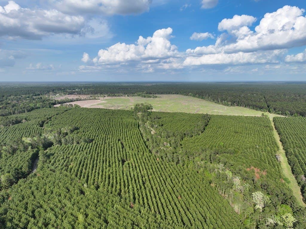 13.5 acres in Texas County - photo 28