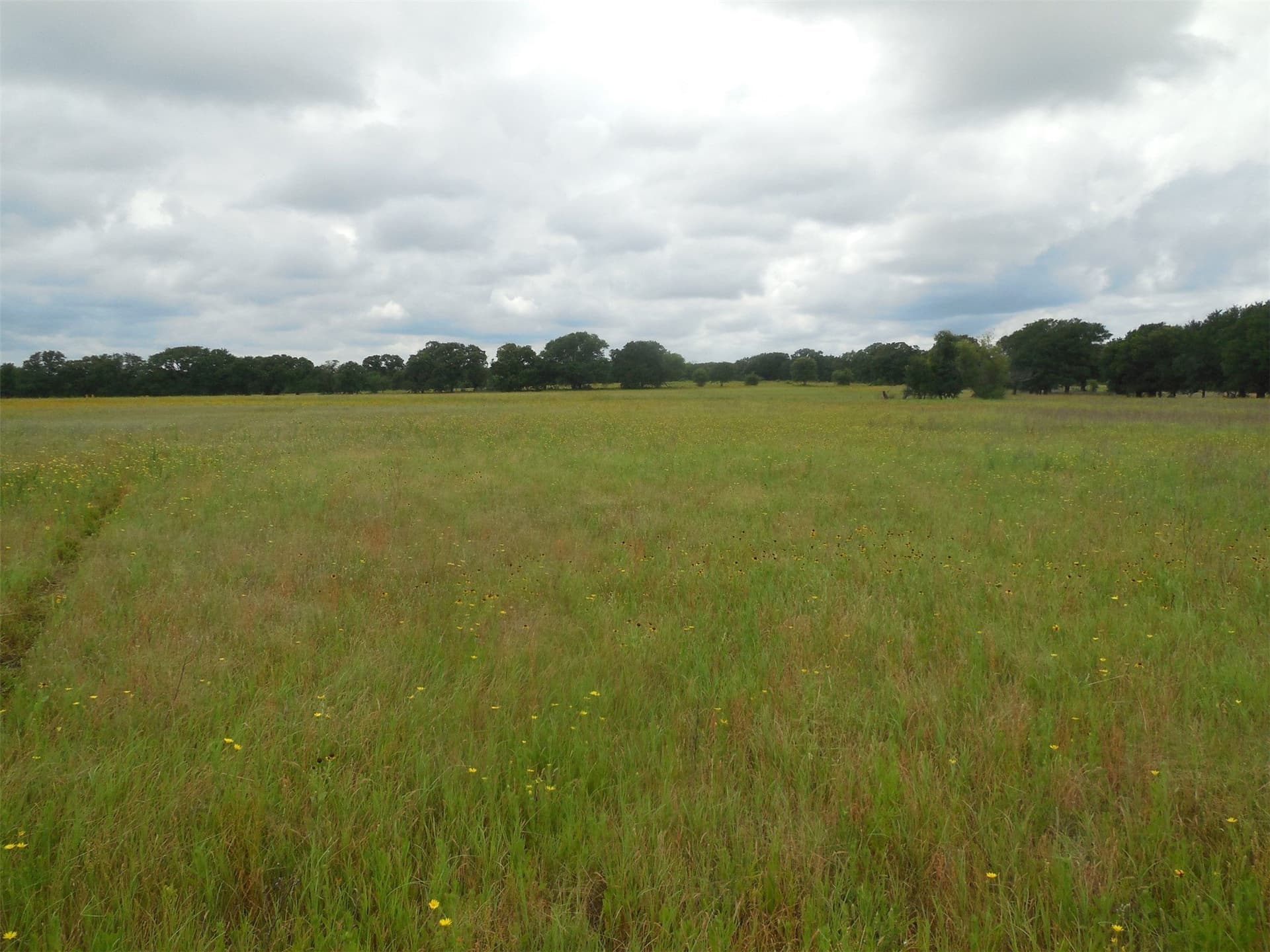 10.1 acres in Eastland County - photo 6
