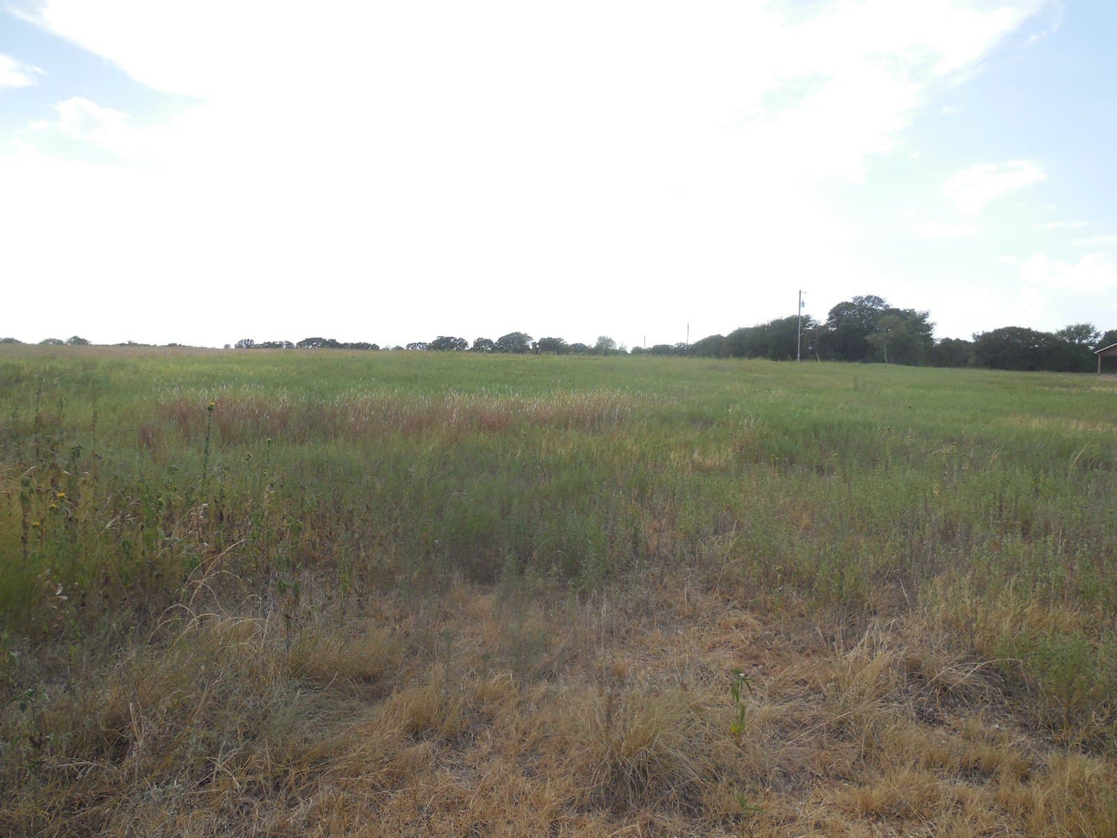 10.1 acres in Eastland County - photo 9