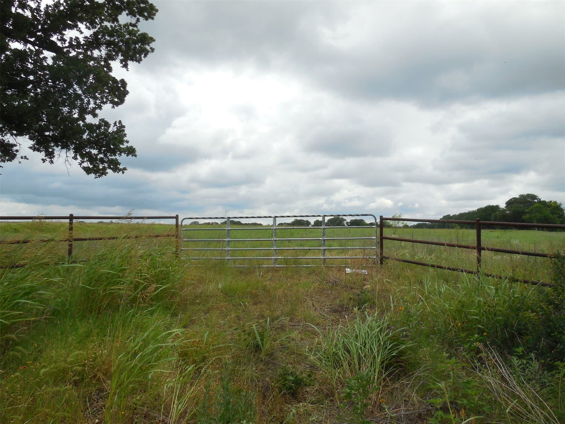 10.1 acres in Eastland County - photo 8