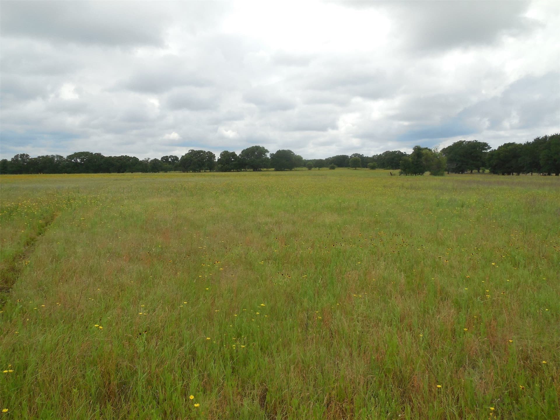 10.1 acres in Eastland County - photo 7