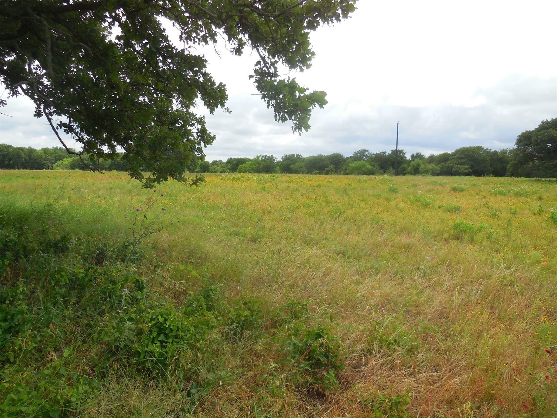 10.1 acres in Eastland County - photo 2