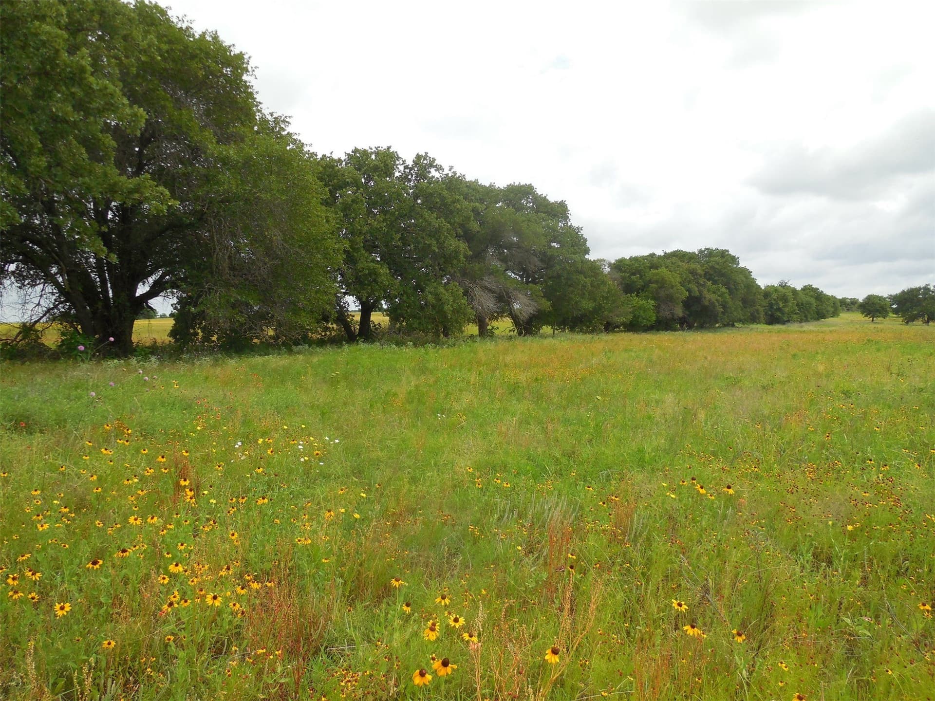 10.1 acres in Eastland County - photo 5