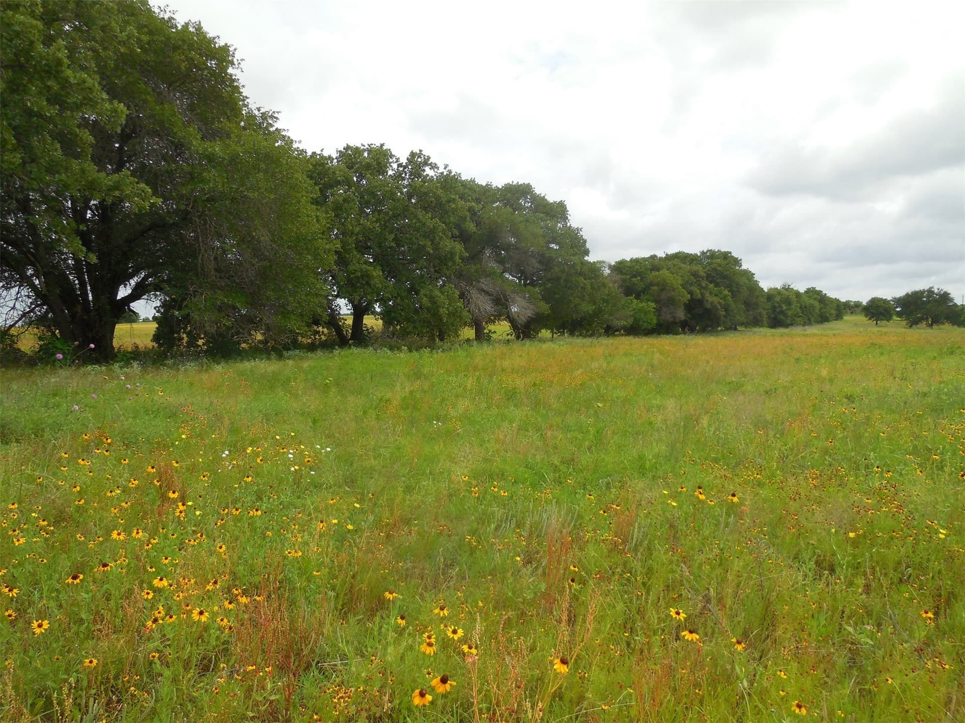 10.1 acres in Eastland County - photo 4