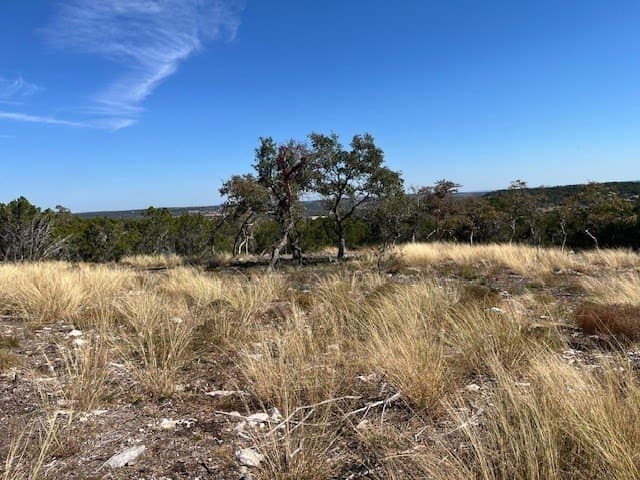 10.02 acres in Gillespie County gallery image 3
