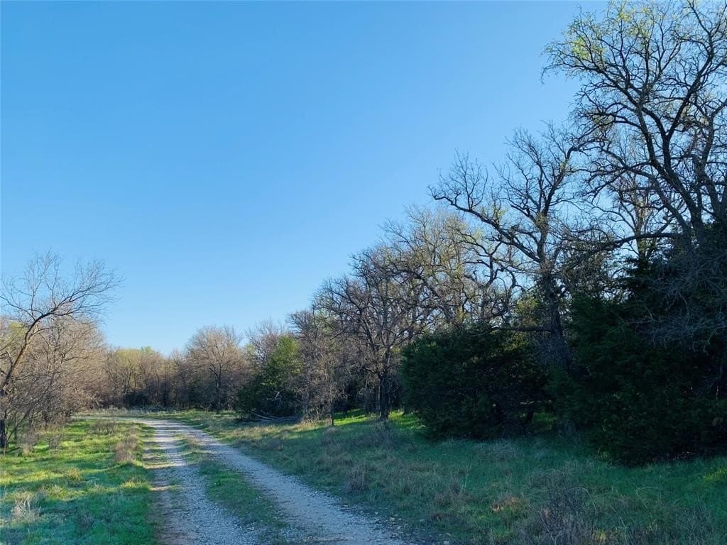 68.32 acres in Palo Pinto County gallery image 4