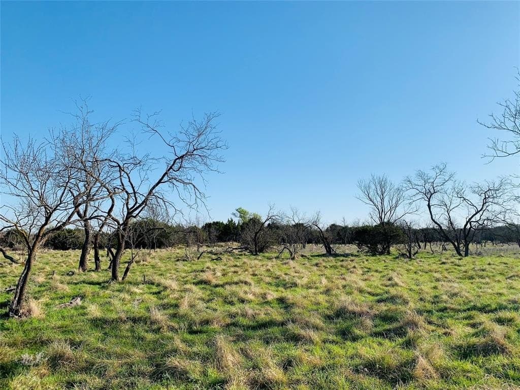 68.32 acres in Palo Pinto County gallery image 2