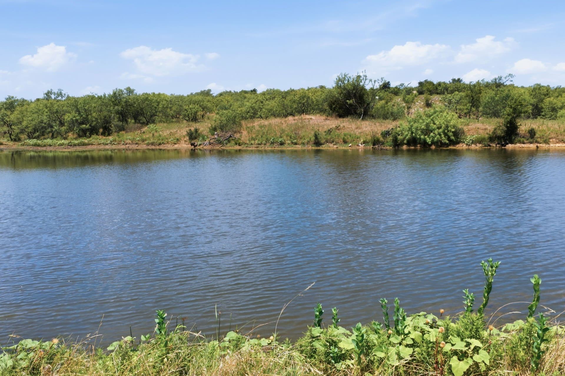 134.5 acres in Jack County - photo 38