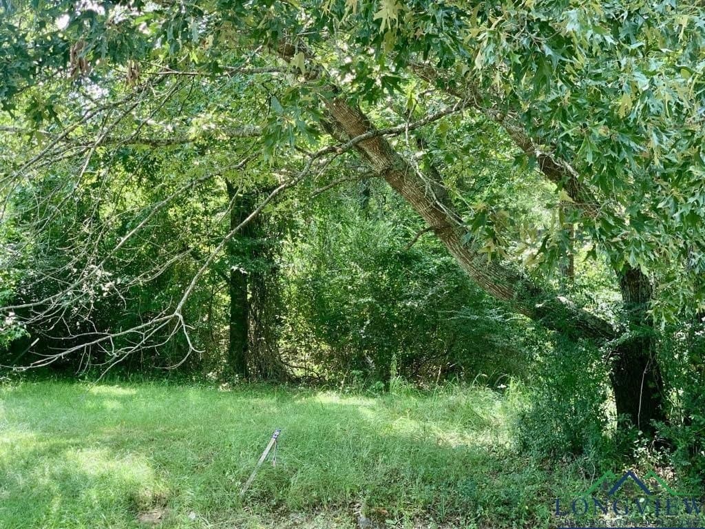 5.31 acres in Harrison County gallery image 3