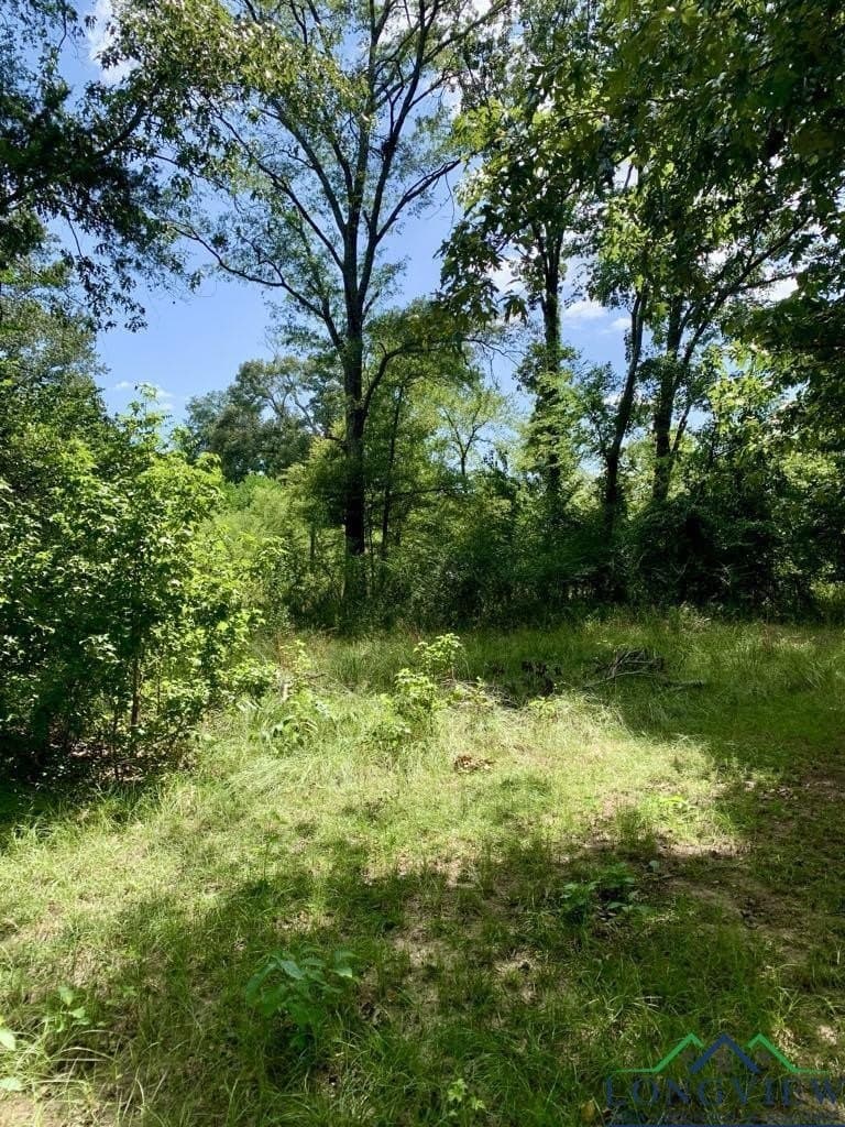 5.31 acres in Harrison County gallery image 4