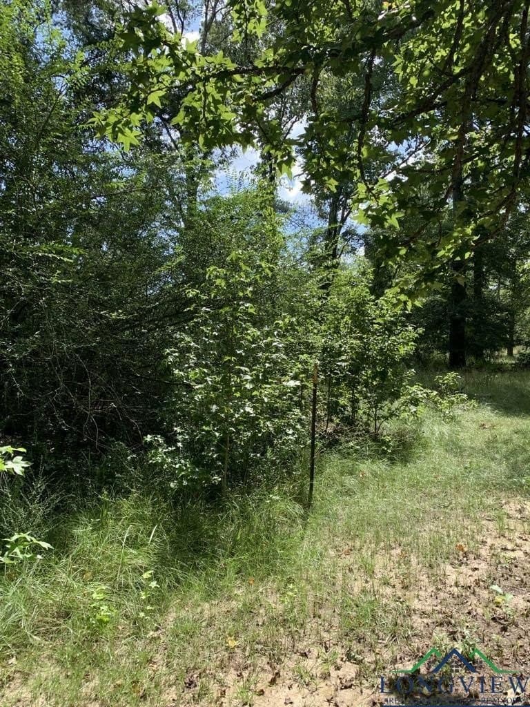 5.31 acres in Harrison County gallery image 2