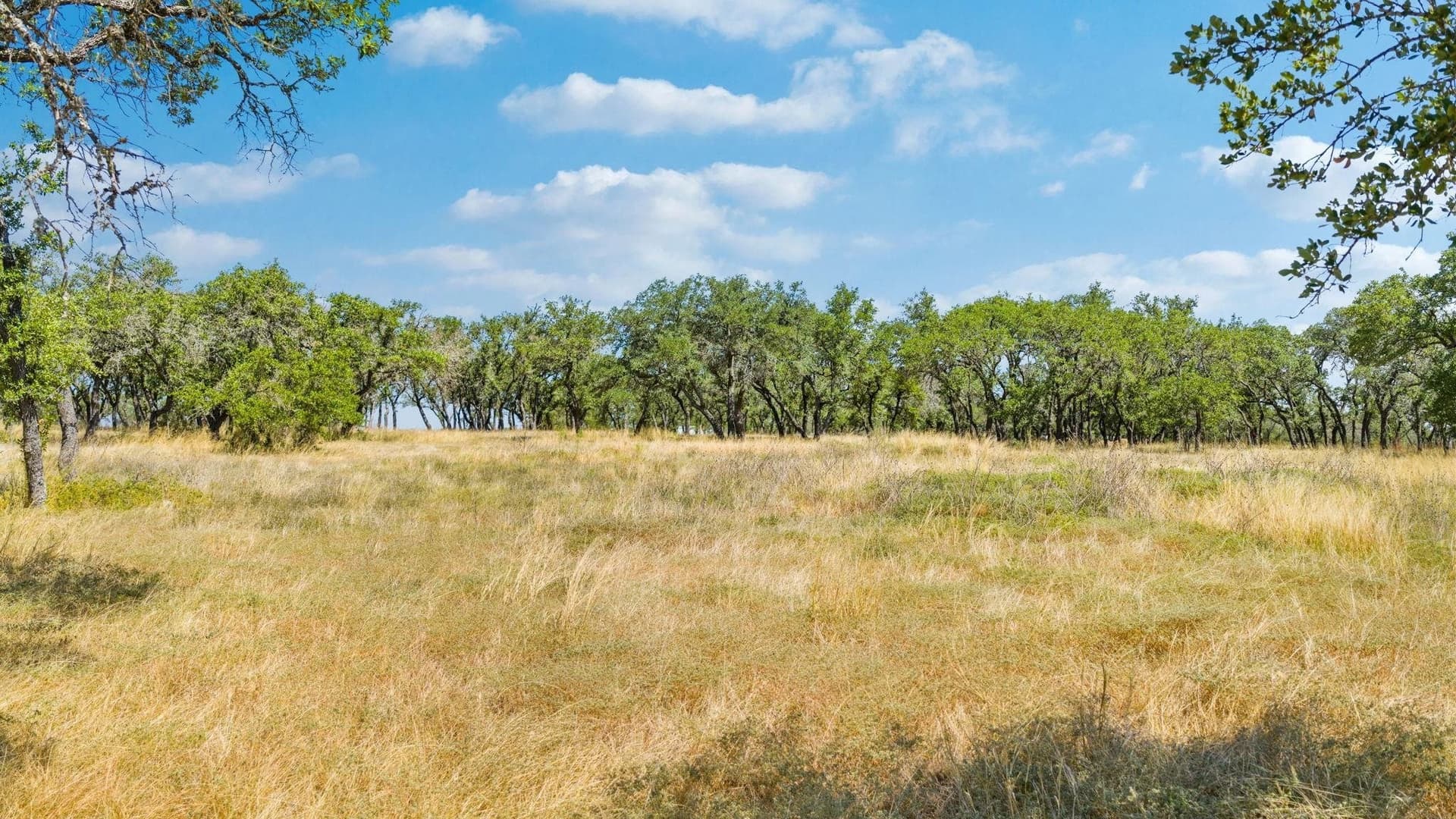 4 acres in Blanco County - photo 17