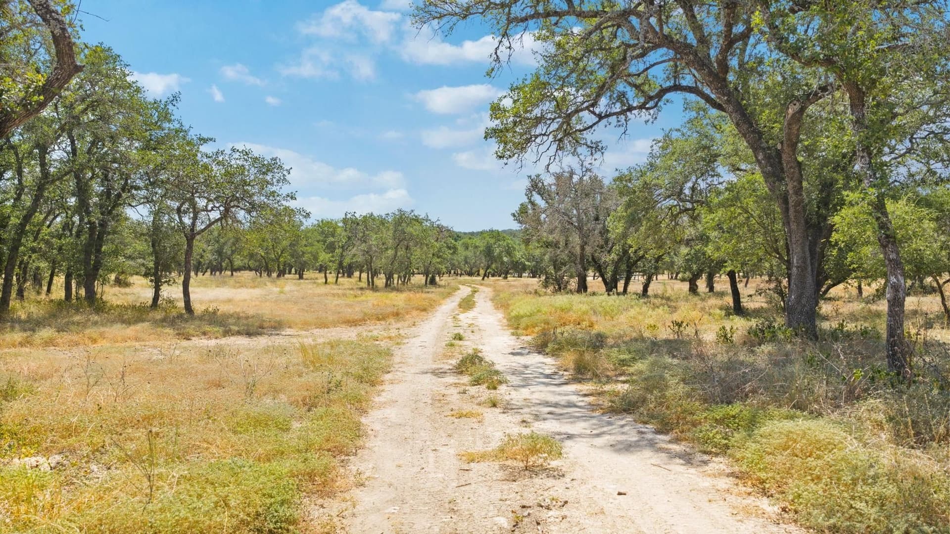 4 acres in Blanco County - photo 16