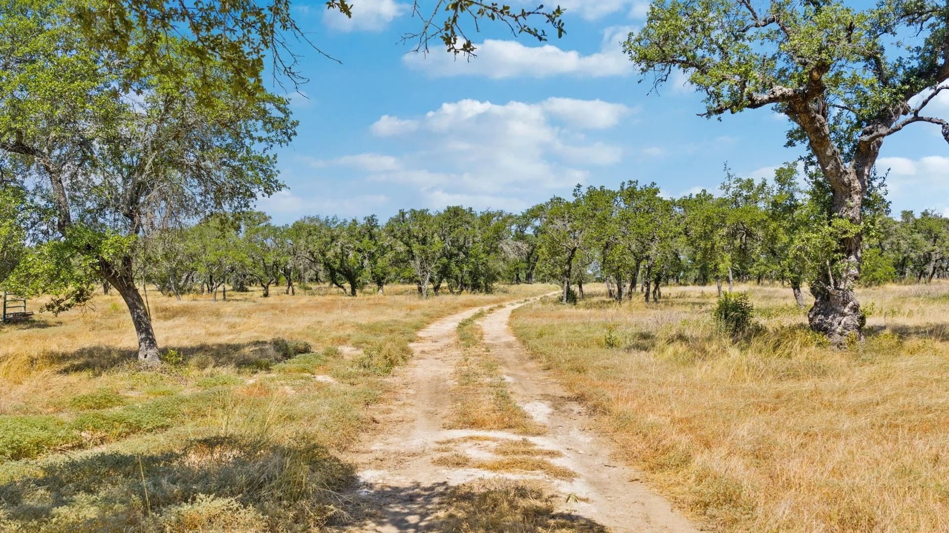 4 acres in Blanco County - photo 15