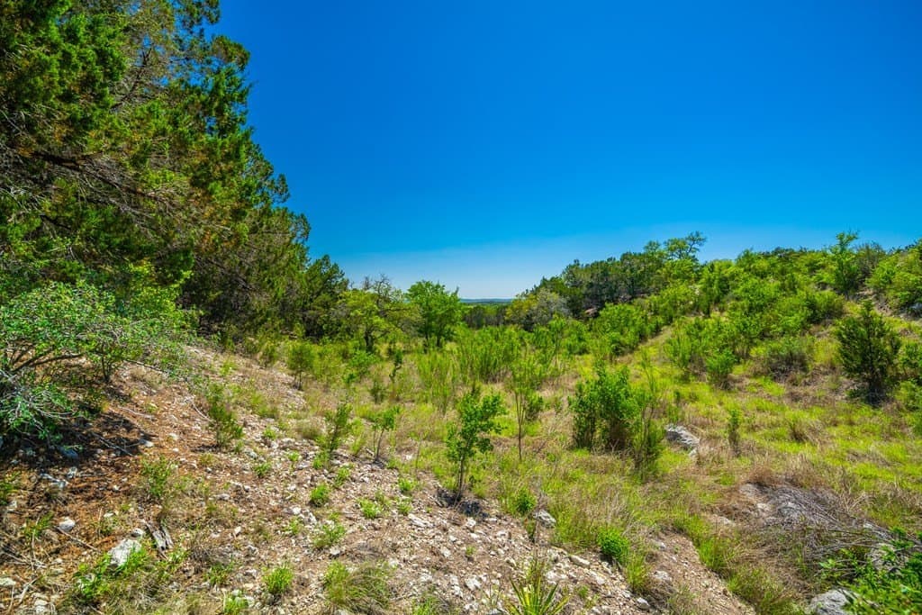 47 acres in Kerr County - photo 19