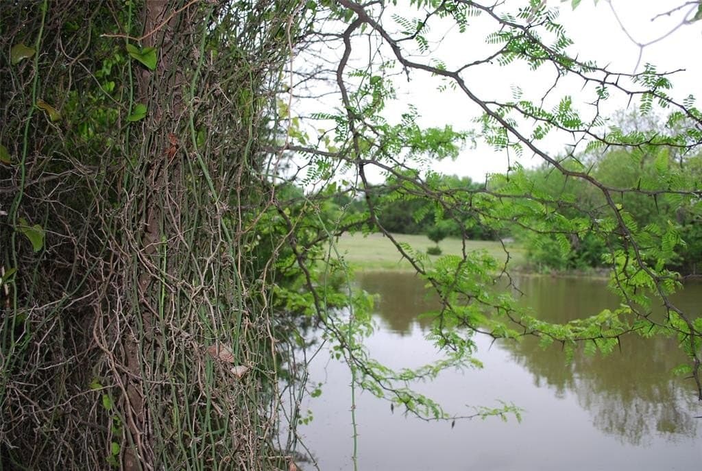 1.62 acres in Rockwall County gallery image 3