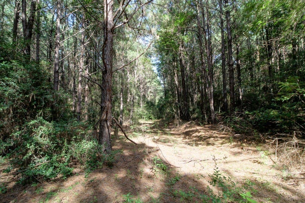 14.63 acres in Texas County gallery image 3