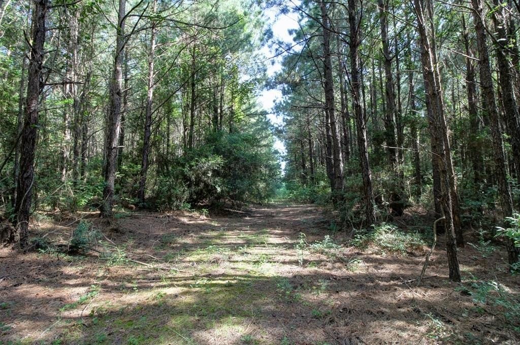14.63 acres in Texas County gallery image 2