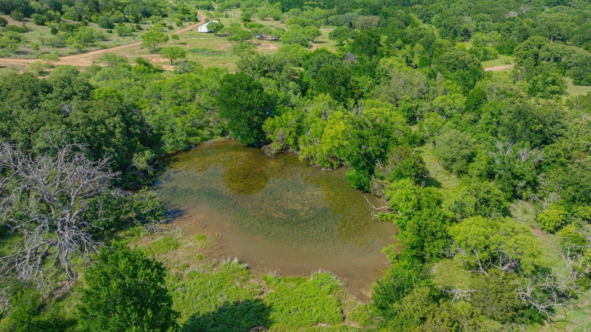 60.2 acres in Stephens County - photo 6