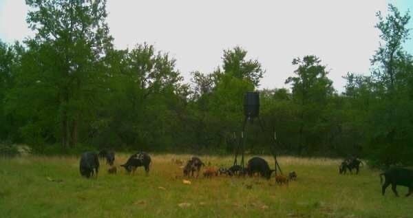 60.2 acres in Stephens County - photo 37