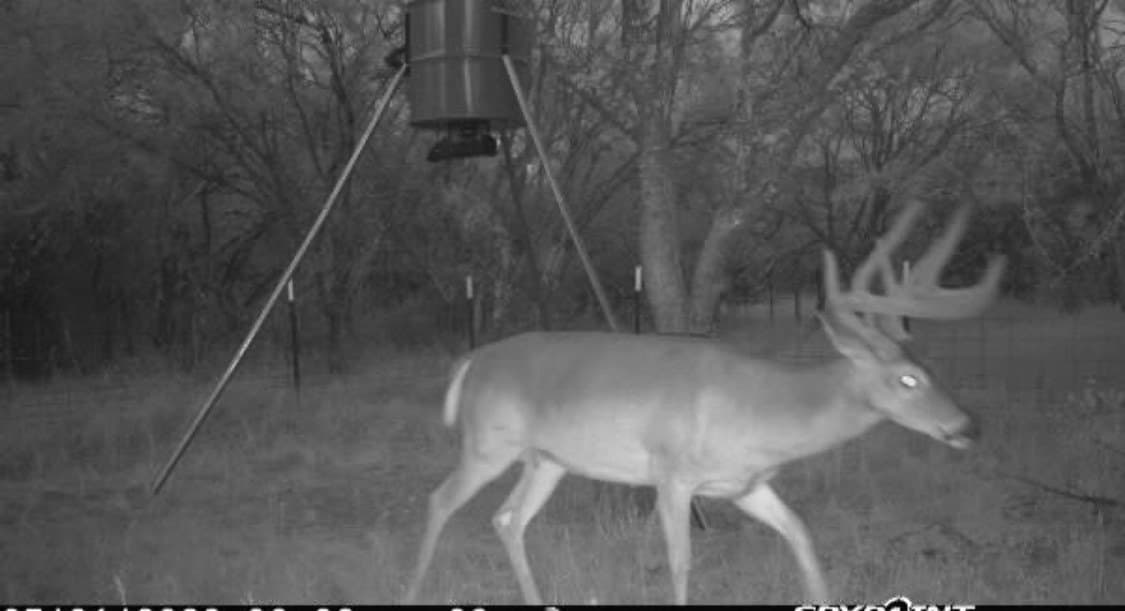 60.2 acres in Stephens County - photo 39