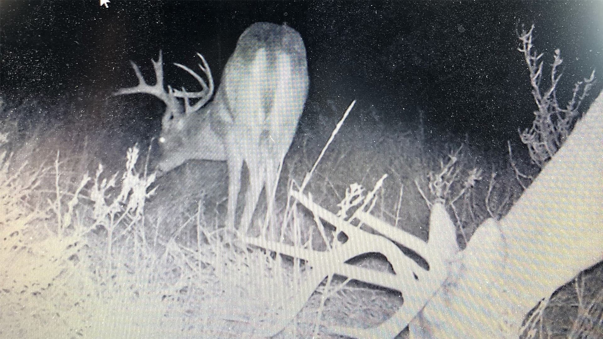 60.2 acres in Stephens County - photo 38