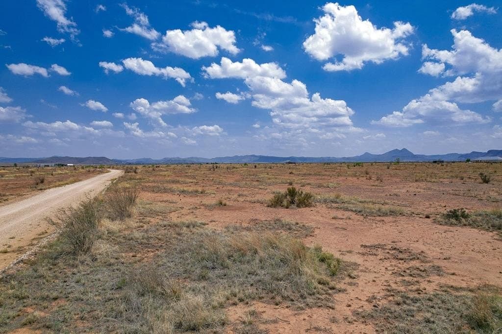 11.62 acres in Brewster County - photo 12