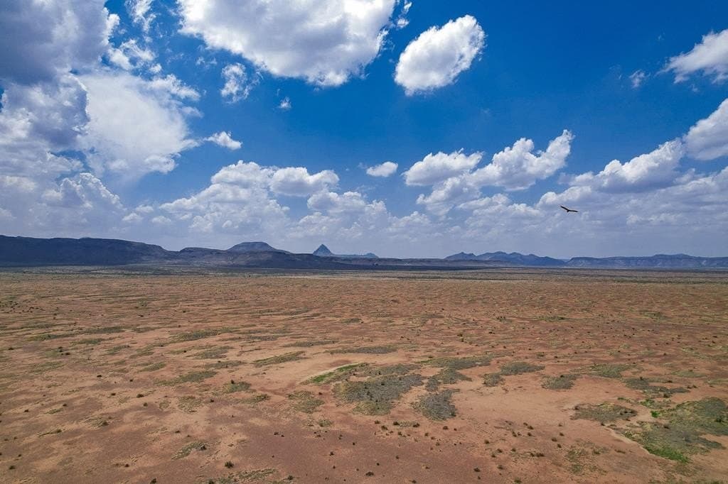 11.62 acres in Brewster County - photo 10