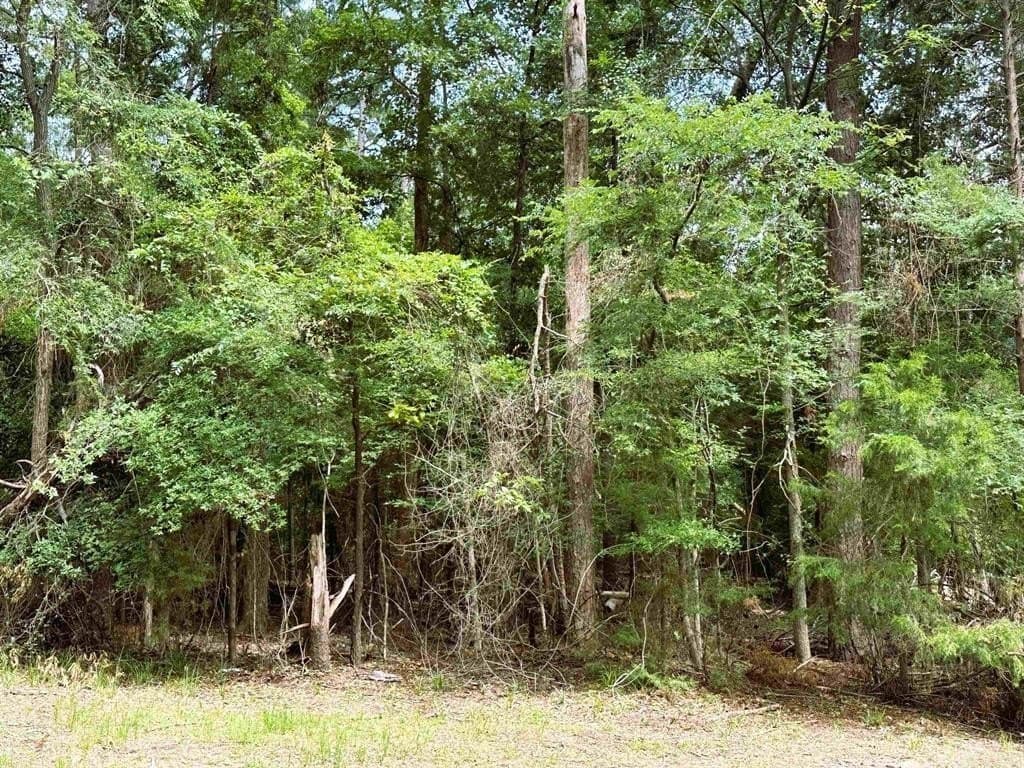 0.6 acres in Franklin (TX) County - photo 2